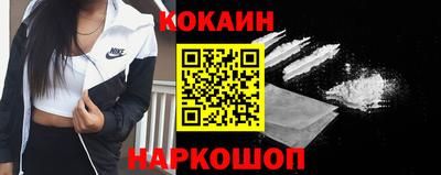 тгк Кингисепп