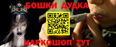тгк Кингисепп