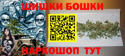 тгк Кингисепп
