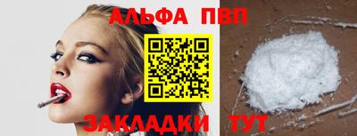 тгк Кингисепп