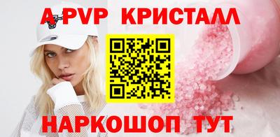 тгк Кингисепп
