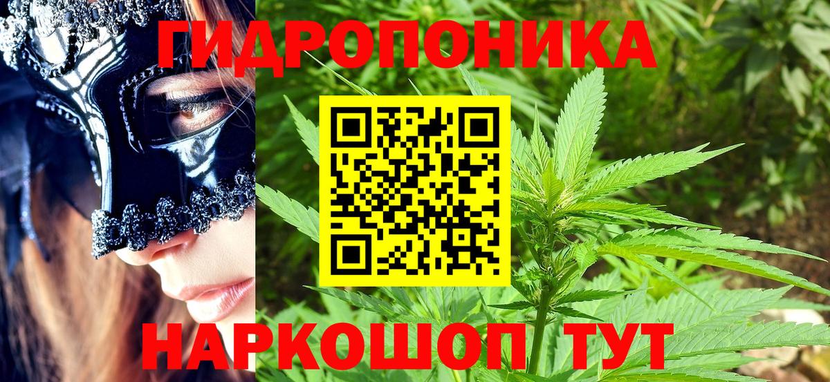 Заволжье  Шишки марихуана конопля  Вход с VPN  Конопля White Widow 
